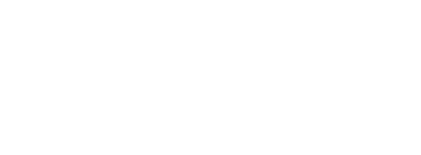 partner-item-5